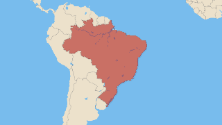 Brasil Thumbnail