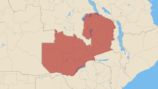 Zambia Thumbnail